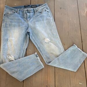 Ariella Light Wash Distressed Crop Jeans